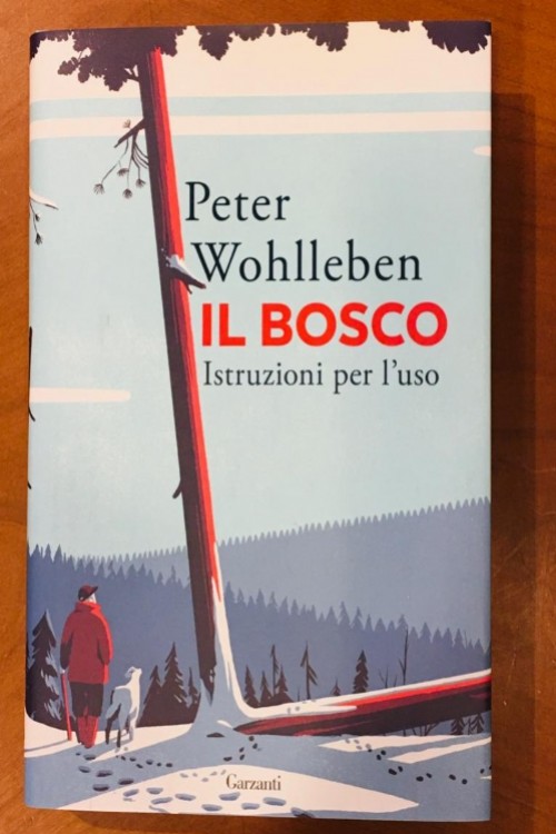 Il Bosco. Istruzioni per l'uso.