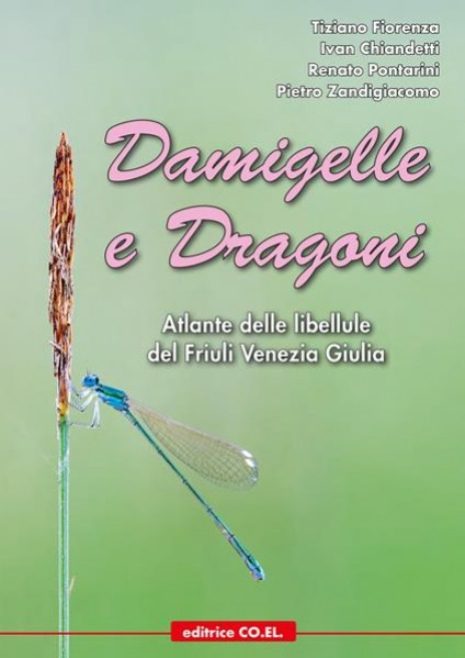 Damigelle e Dragoni