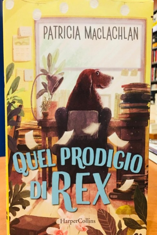 Quel prodigio di Rex